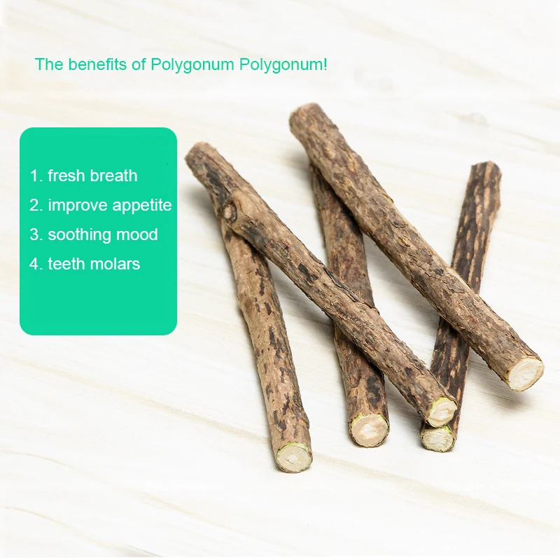 Pet Supplies Kitty Polygonum Capitatum Molars Cat Snacks Edible Toys Tooth Cleaning Stick Increase Appetite Five Pack |