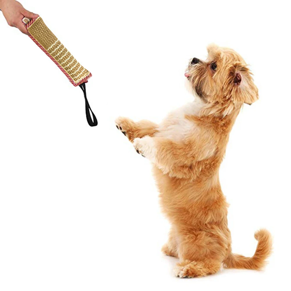 Собака с палкой в зубах. Собака бернский зенненхунд. Лабрадор с палкой. Собака грызет палку. Собака с палкой в зубах.