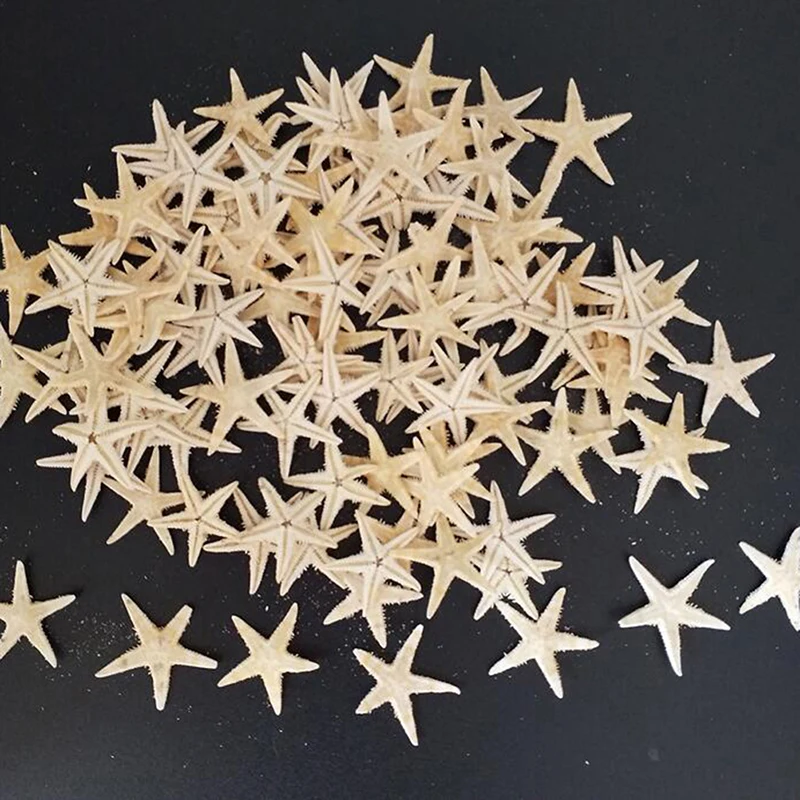 

100pcs Sea Shells Size:0.5-3cm Mini Starfish Craft Decoration Natural Sea Stars DIY Beach Cottage Wedding Decor Crafts