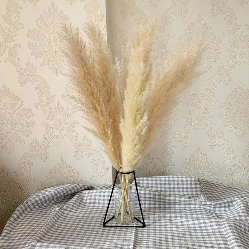 

55cm Pampas Grass Decor Extra Large Natural Dried Flowers Bouquet Wedding Flowers Vintage Style for Home Valentine's Day Gift