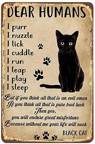 

Фотообои с изображением кошки, самостоятельное упражнение, есть знаки цели для домашнего декора, Настенная спальня, 8x12 дюймов