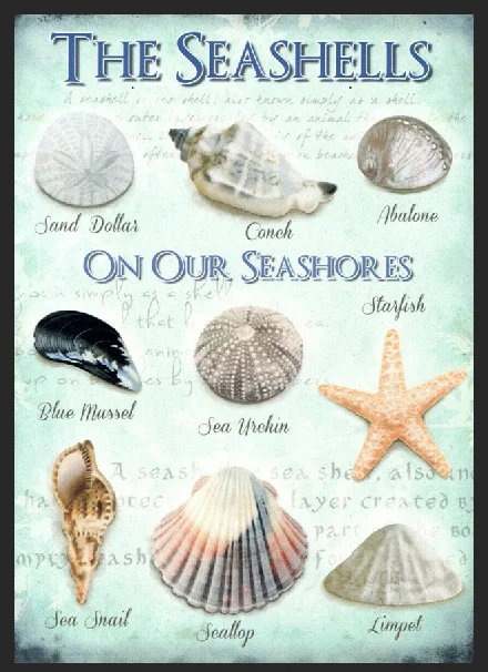 

Seashells on the Seashore Metal Sign Home Sun Plaque Decor Sand Holiday Beach