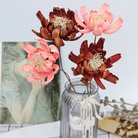 natural dried lotus flowers head handmade fleur sechee naturelle mariage party decoration table photo prop photography shoots
