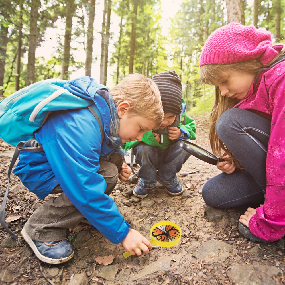 

1 Set Insect Viewer Magnifier Biology Science Observer Exploration for Kids