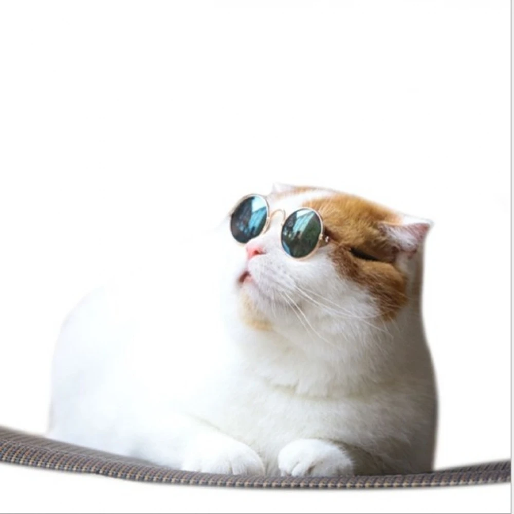 1PC Lovely Pet Cat Glasses Dog Products For Little Eye-wear Protection Sunglasses Photos Accessories | Дом и сад