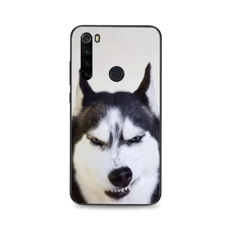 Чехол для телефона MaiYaCa Animal Husky cute Puppy Dog Customer высокого качества Xiaomi Redmi 4X 5A 6A 6 7 8 S2