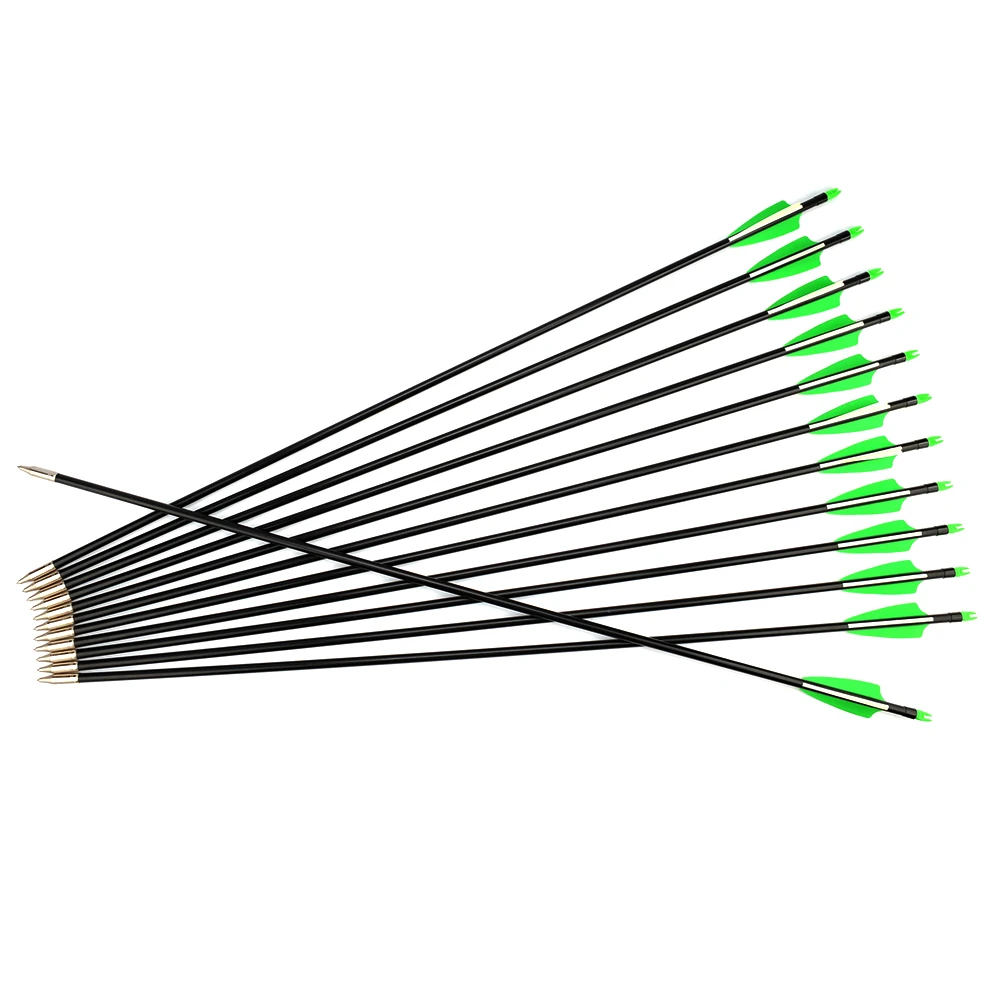 

30 Inches Fiberglass Arrow Diameter 8mm Spine 400 with Explosion-proof Plastic Feather for Compound Bow Archery Hunting Shooting