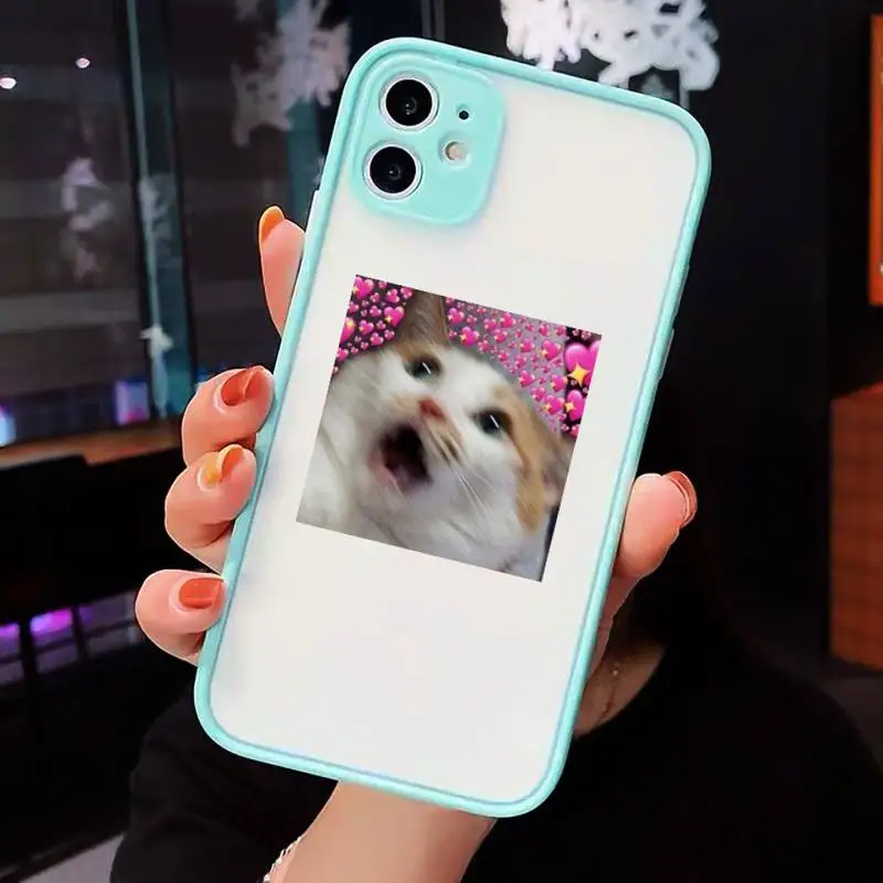 

Lovely animal cat Phone Case matte transparent For iphone 7 8 11 12 plus mini x xs xr pro max cover