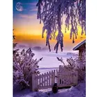 Распродажа Алмазная вышивка полная Алмазная вышивка 5D Diy алмазная живопись Стразы картина, Алмазная мозаика кота зимняя Декор для дома подарок