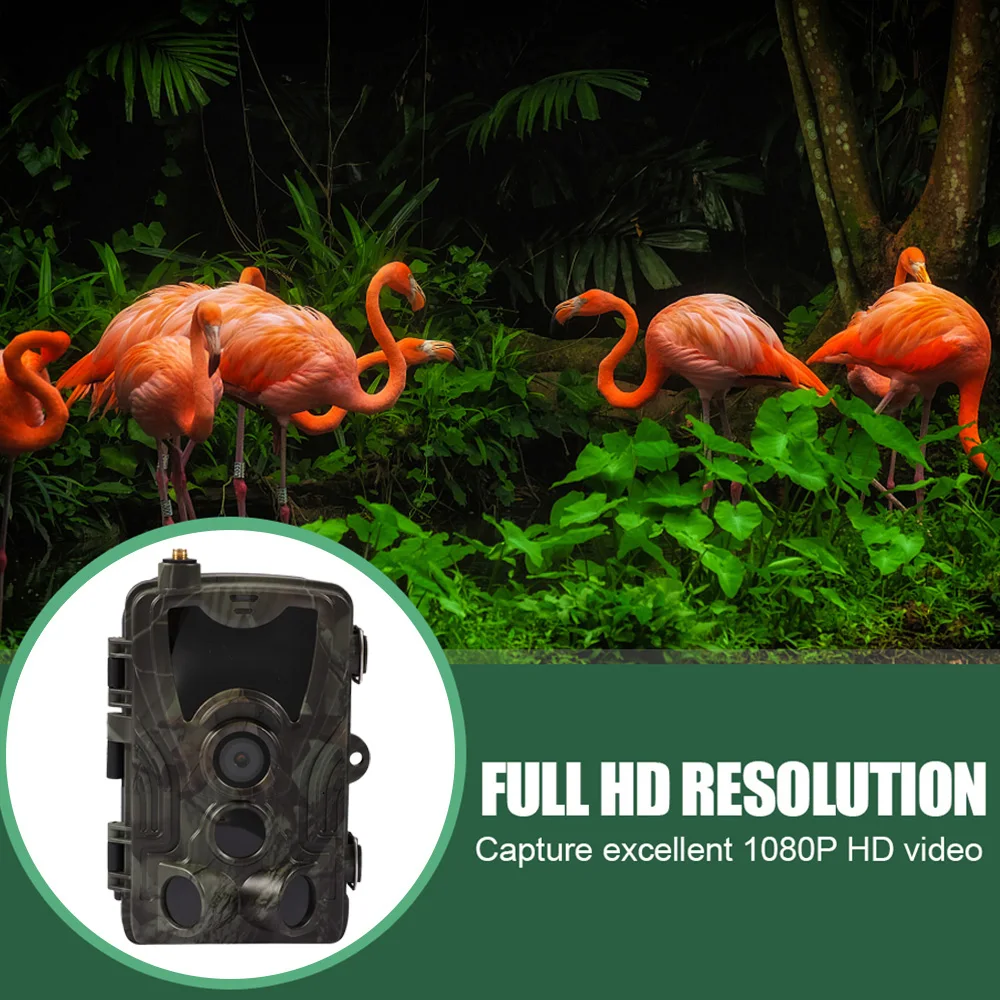 

HC-801pro Real-Time Video APP Night Camera Cloud Service 4G Cellular Mobile 30MP Wireless Wild Tracking Cam Surveillance