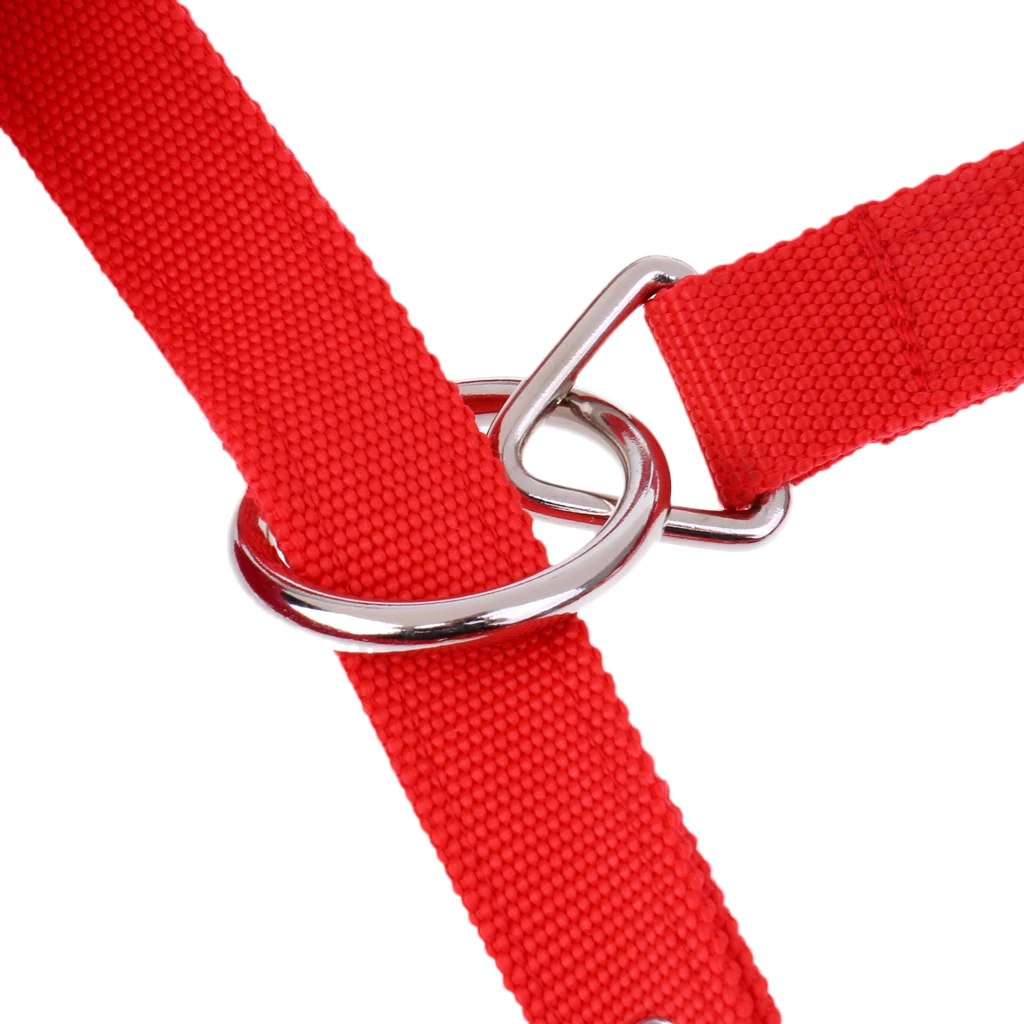 Мягкий флис мягкий прочный PP лошадь Холтер/головной воротник м с 2 5 свинцовой