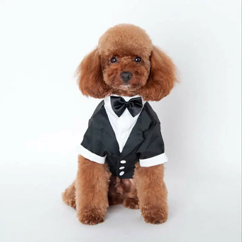 

Pet Dog Wedding Suit Tuxedo Suit Bow Tie Puppy Casual Clothes Costume Coat Tops
