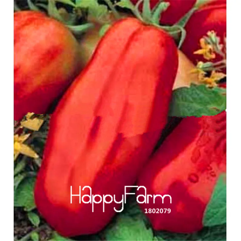 New Fresh 20 Pcs/Lot Rainbow Tomato Plants, bonsai organic vegetable& fruit Plantas,potted plant for home&garden - Цвет: 2