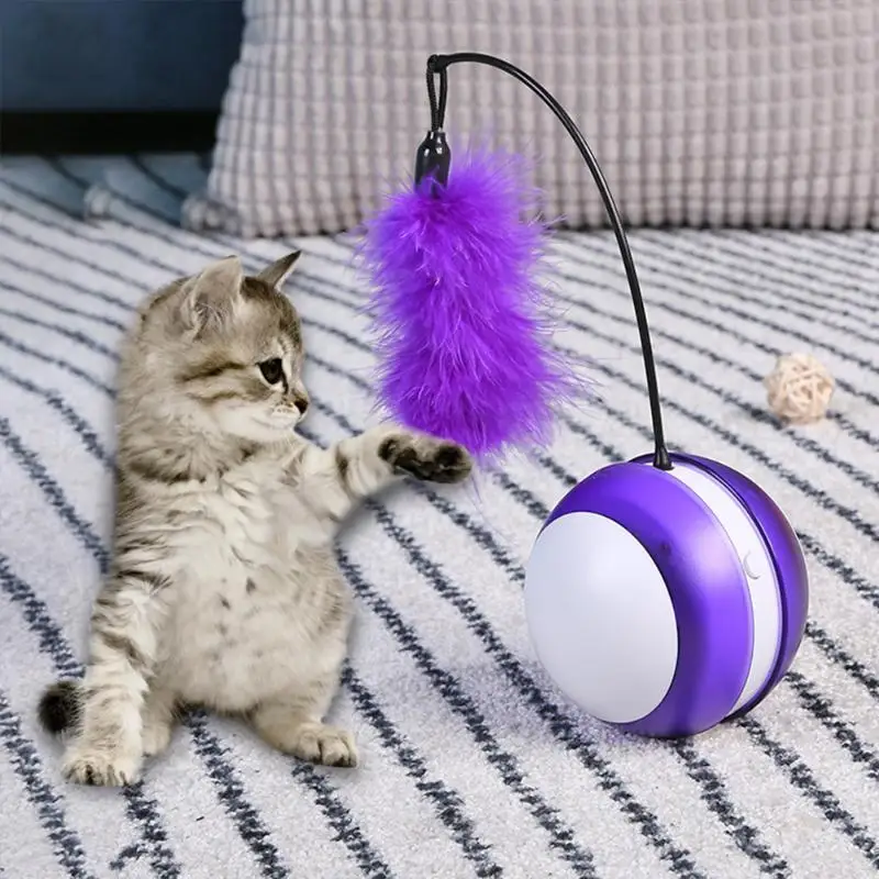 Cat Toy Classic Colors and Simple Durable Design Electric Ball Laser Light Feather Stick Interactive Teasing Pet Supplies | Дом и сад