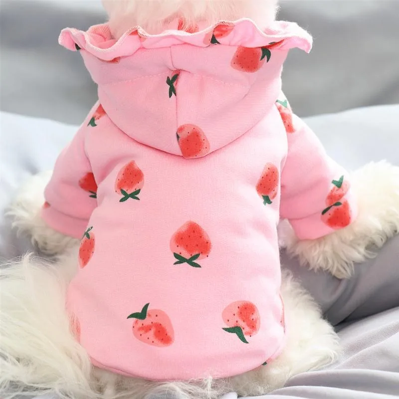 

Cute Fruit Print Pet Clothing Dogs Sweater Puppy Chihuahua Clothes for Small Dog Sweatershirt Suit yorkshire labrador Costume