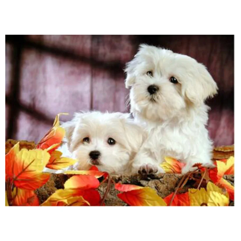Алмазная 5D картина сделай сам с животными две белые собаки полноформатная