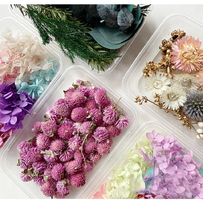 1 Box Natural Real Dry Flower Dried Plants DIY Epoxy Resin Pendant Necklace Jewelry Aromatherapy Candle Making Craft Accessories