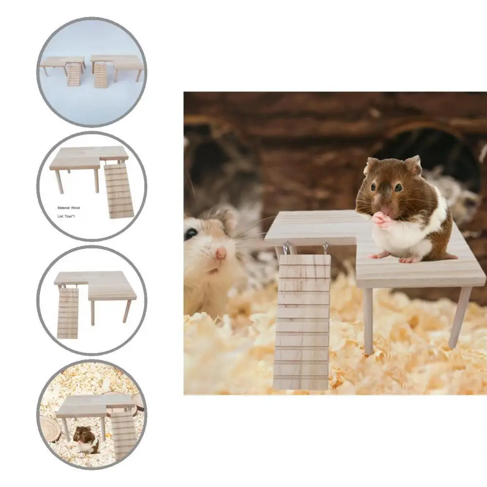 

Sturdy Hamster Stand Fine Workmanship Natural Wood Hamster Chinchilla Playground Toy Hamster Toy Chinchilla Stand