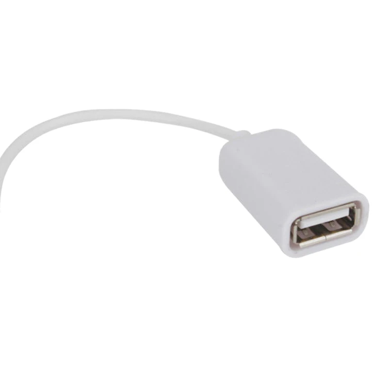 8-контактный переходник OTG на гнездо USB 2 0 CableAdapter Reader для iPad 4/iPad Air/iPad5/iPad Mini Camera