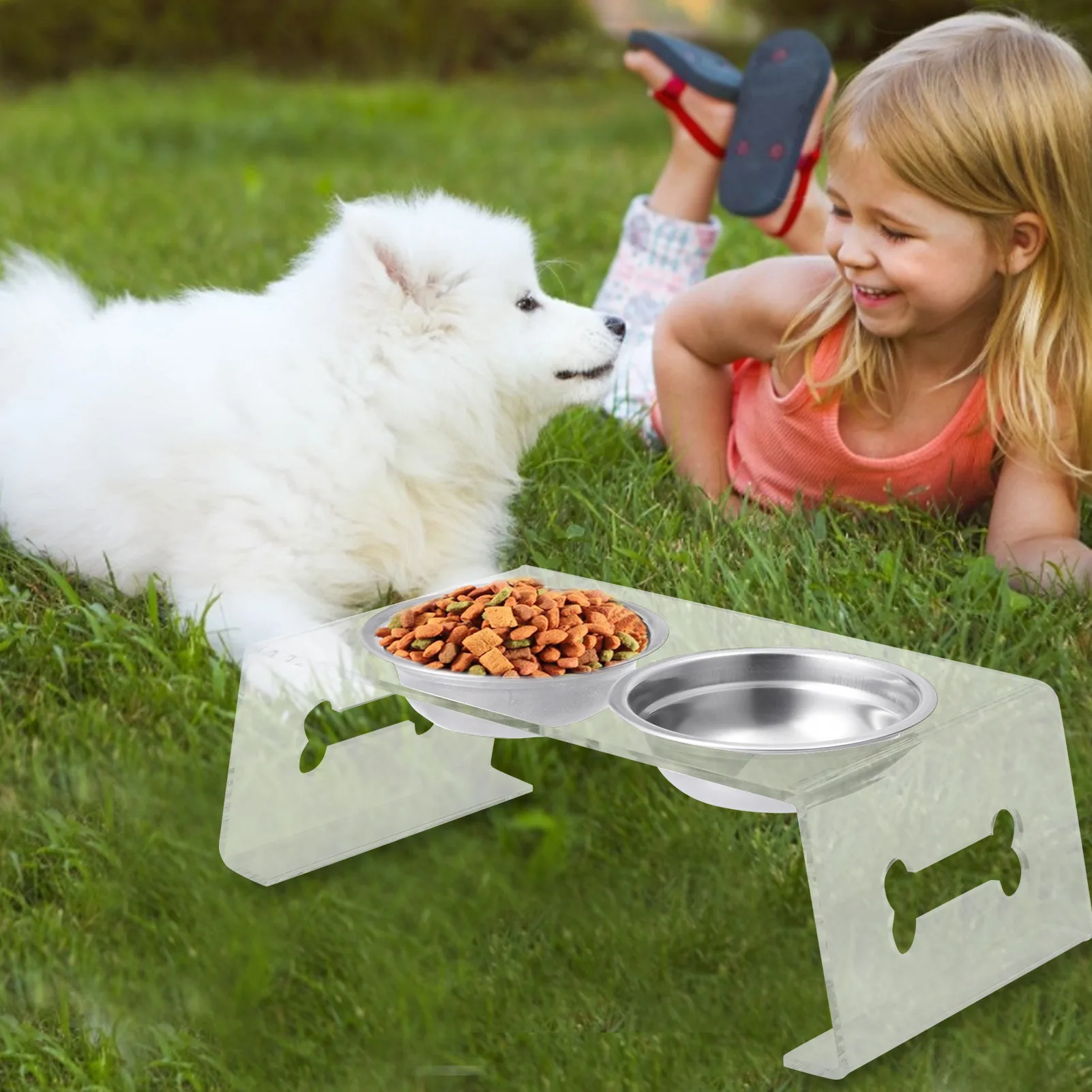 

Antislip Double Dog Bowl With Silicone Mat Durable Stainless Steel No Spill Pet Feeding Bowl Drinking Water Food Feeder