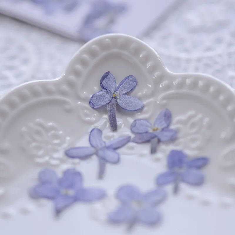 

120pcs Pressed Dried Flower Syzygiumaromaticum Herbarium For Epoxy Resin Jewelry Bookmark Phone Case Makeup Nail Art Craft DIY