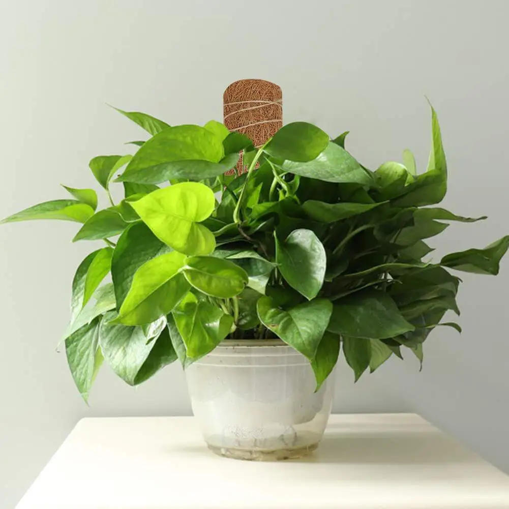 Кокосовая пальма для подъема растений безопасная палочка кокосовой пальмы