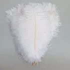 Оптовая продажа, 100 шт.лот, натуральные белые страусиные перья для украшения, 15-75 см