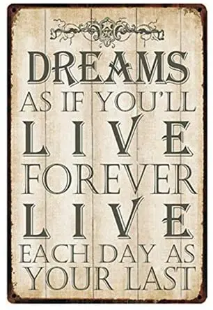

Vintage Style Dreams As If You'll Live Forever Live Each Day As Your Last Metal Sign Tin Poster Bar Wall Art Paintingation