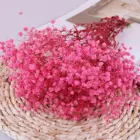 Натуральные цветы, 40 см, настоящие цветы, букеты, подарок для свадебной вечеринки, Гипсофила, украшение для детской гостиной