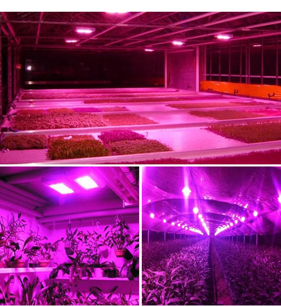 LED Grow Light Tent Indoor Garden Hydroponic Growing Lamp 50W Full Spectrum Red+Blue+UV phyto lamps For Plants Cultive box | Лампы и