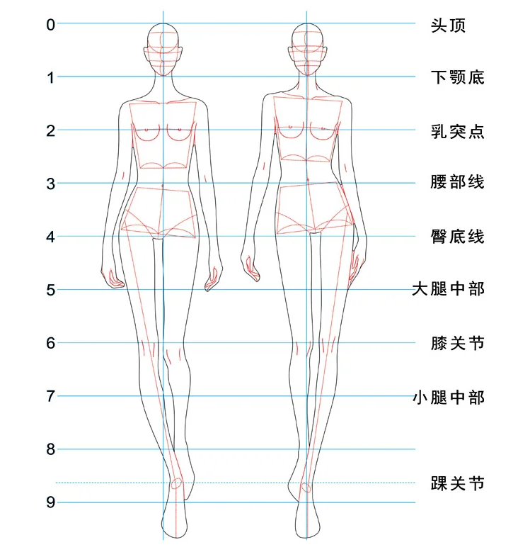 Fashion Ruler Line Drawing Human Dynamic Template for Cloth Rendering 25.6cm Woman Costume Designer Sewing | Канцтовары для офиса
