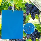 Клейкая бумага-ловушка для мух, 101520 шт.