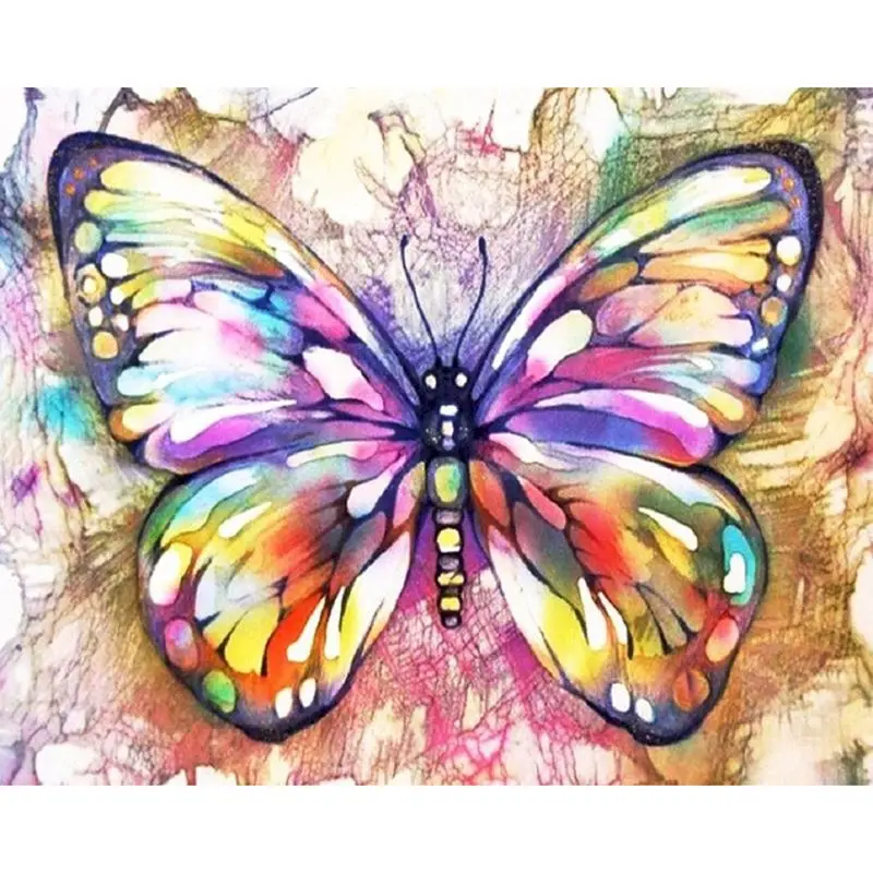 

Butterfly Colorful Acrylic Paint By Numbers DIY Kits For Adults On Canvas With Framed 40x50 frame Coloring By Number Decor Art