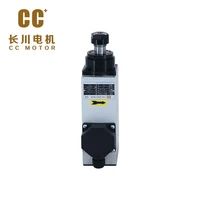 cc hot sale mhs40 07512f 750w air cooled motor spindle for engraving machines
