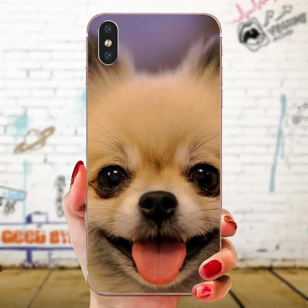 Прозрачный TPU чехол для Huawei Honor 4C 5A 5C 5X6 6A 6X7 7A 7C 7X8 8C 8S 9 10 10i 20 20i Lite рro шпиц собаки - Цвет: as picture