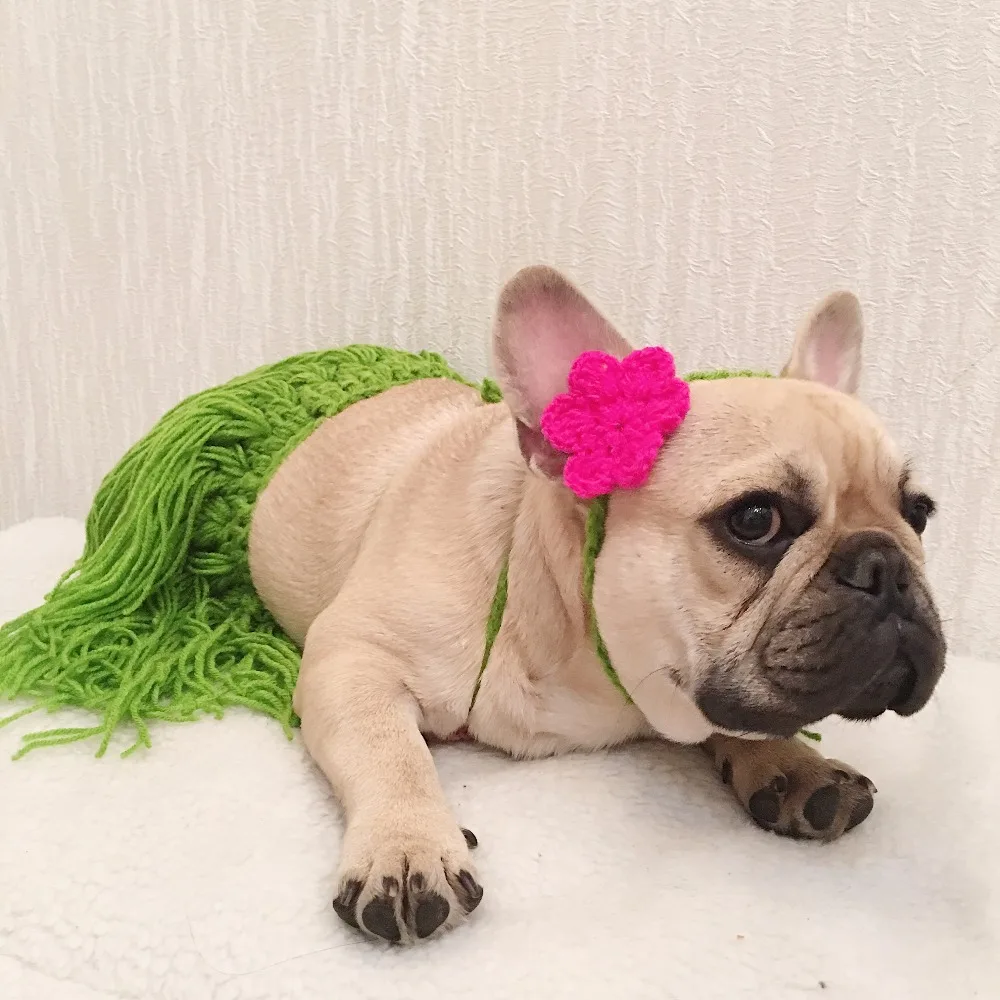 

[MPK Store] Dog Bikini, New Arrival, Dog Summer Wear, French Bulldog, Pug, Suitable for Small Dogs, Dog Costume, Puppy Wear
