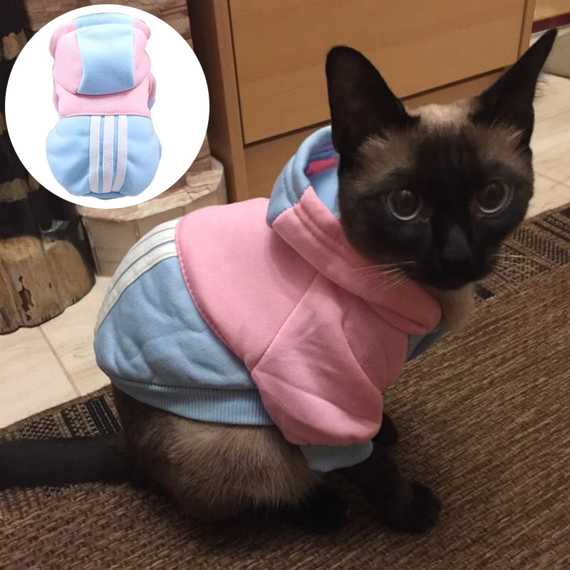 

New Warm Cat Clothes Winter Pet Clothing for Cats Fashion Sport Hoodies Outfits Soft Costumes for Cat Pets Supplies