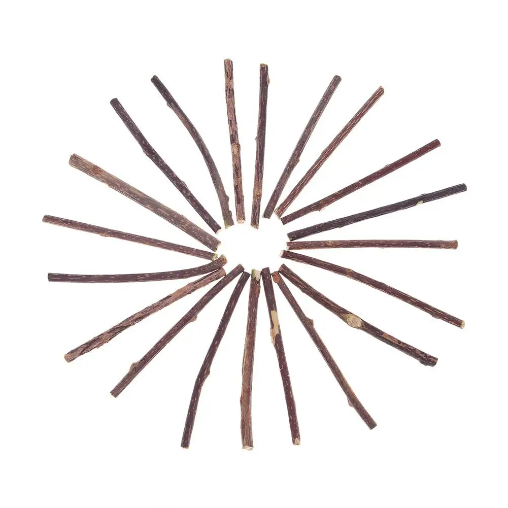 15/20 шт. натуральные фрукты Matatabi для кошек снэки палочки кошачья мята Pet Cat Molar Rod |