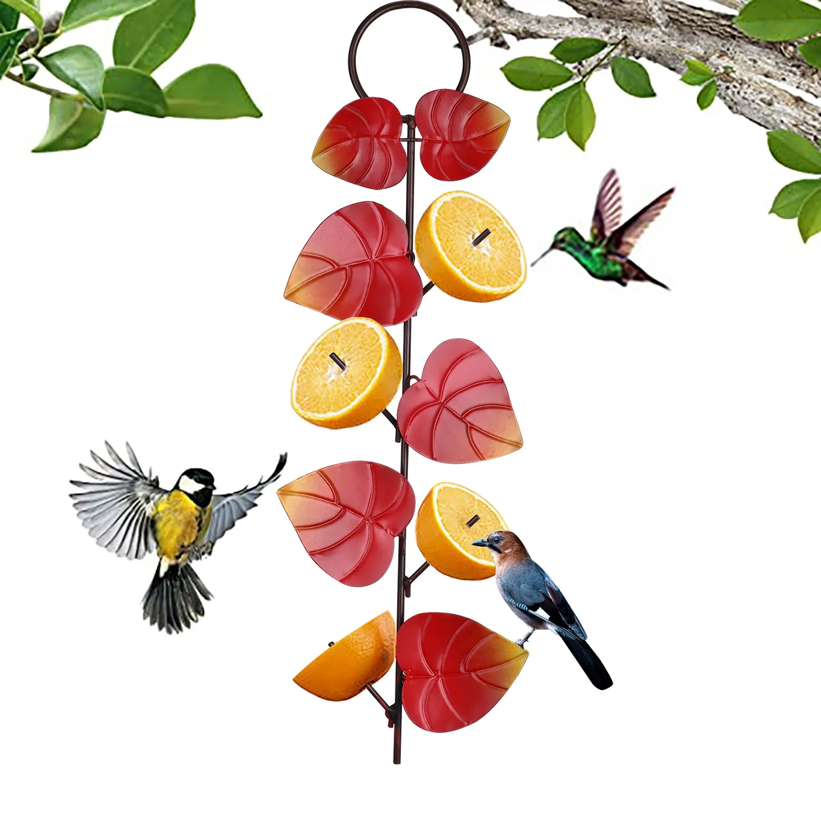 Комплект из 2 предметов маленькая птичка мандарины фрукты Фидер творчество мини