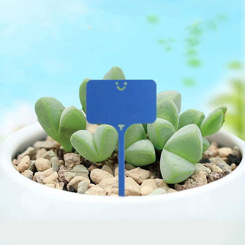 100 шт. Т образные садовые этикетки маркеры для сортировки растений|Маркеры