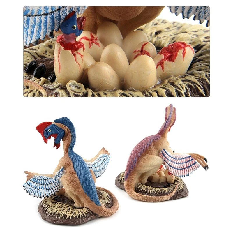 

1PC Dinosaur Toys Realistic Figures Toddler Model Toys Jurassic Red Blue Oviraptor Archaeopteryx Decoration for Kids