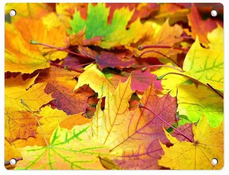 

Много кленовых листьев осень кафе бар домашний декор для стен Ретро пещера художественные украшения металлический знак Настенный декор же...