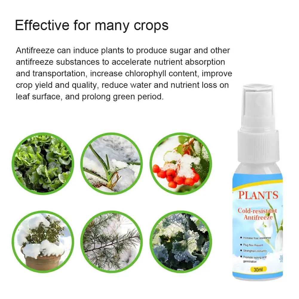 Фрукты деревья завод антифриз риса фермы агент кедр практичные аксессуары двор