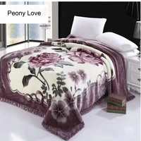 double layer winter thicken raschel plush weighted blanket for bed warm heavy blankets throw printed flowers fluffy soft carpet
