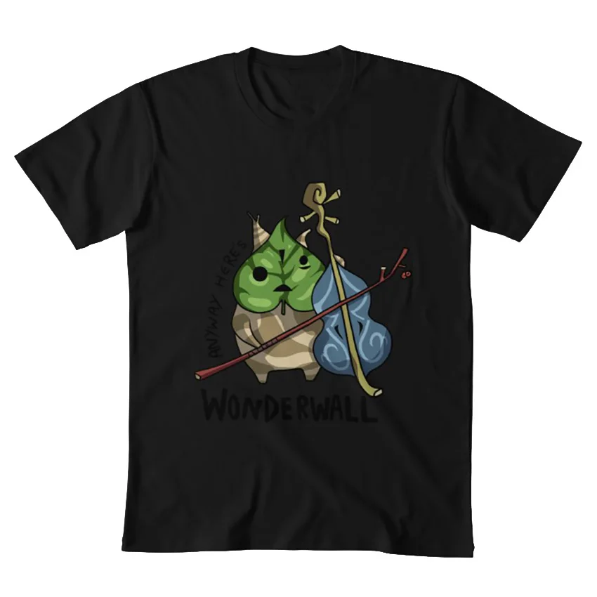 В любом случае это Wonderwall футболка wonderwall скрипка windwaker wind waker zelda legend of loz makar korok |