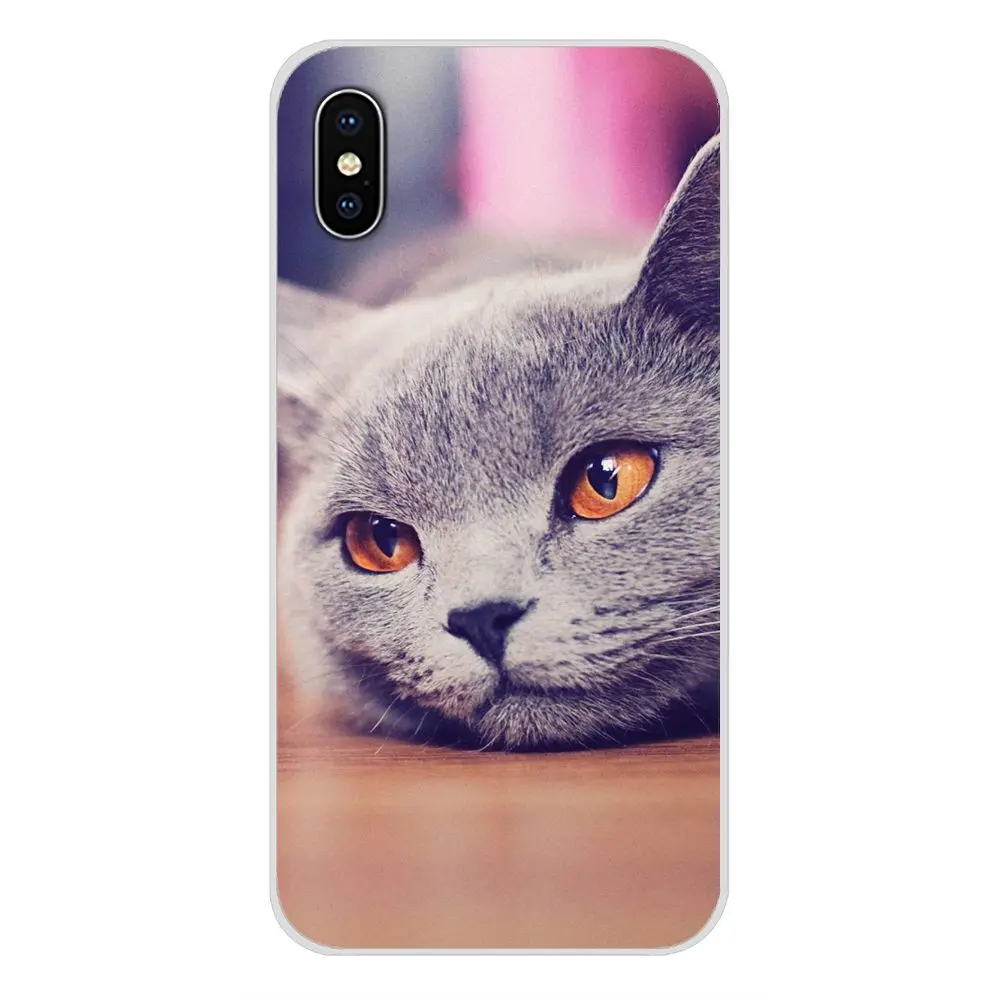 images 5 Для Apple IPhone X XR XS 11Pro MAX 4S 5s 5C SE 6S 7 8 Plus ipod touch 5 6 Британский короткошерстный Кот Топ дизайн силиконовые чехлы - Цвет: images 5