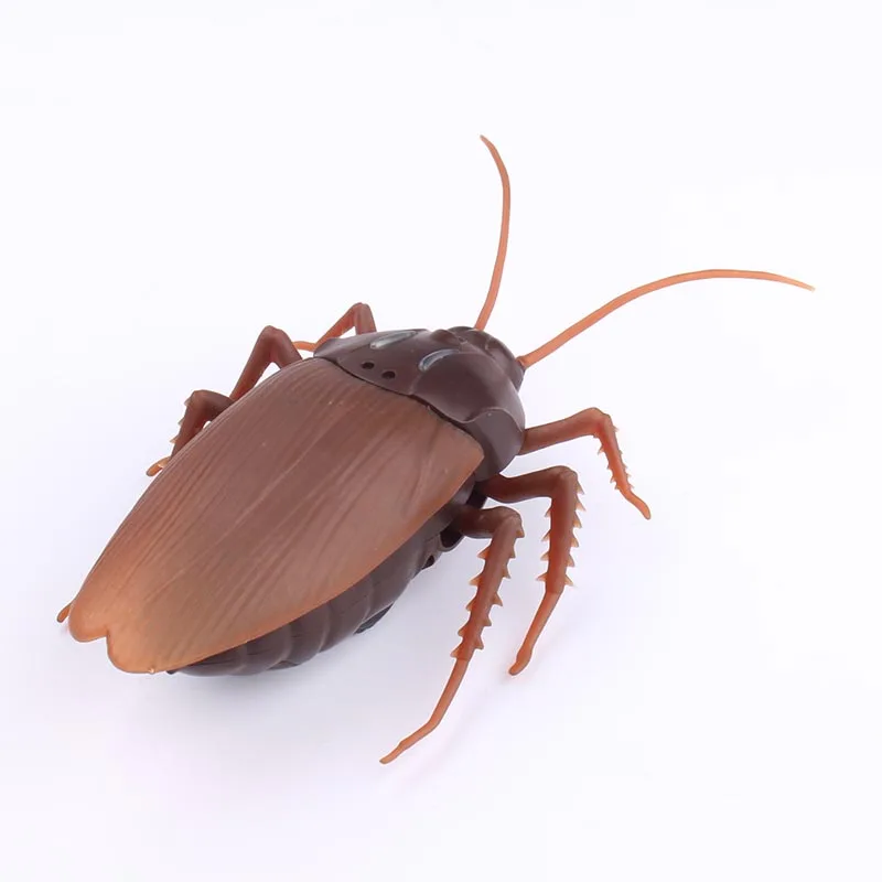 cockroach Трюк Электрический таракан Pet RC имитация паука Роботизированный пульт дистанционного управления игрушечный муравей Хэллоуин Рождество мини подарок для взрослых шалость насекомое - Цвет: cockroach