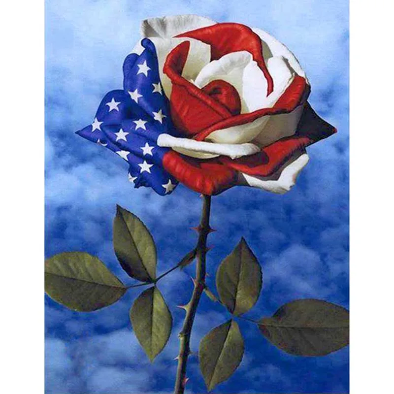 

DIY Painting By Numbers Flag of America Rose Coloring By Numbers Wall Art Canvas Picture Hand Painted Modern Room Decoration