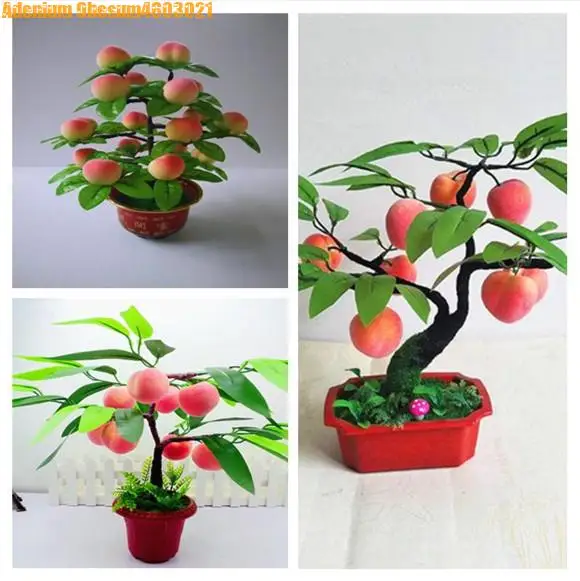 Новый продукт 2019! Персик бонсай дерево есть вкусные сочные мясистые Фрукты Diy сад