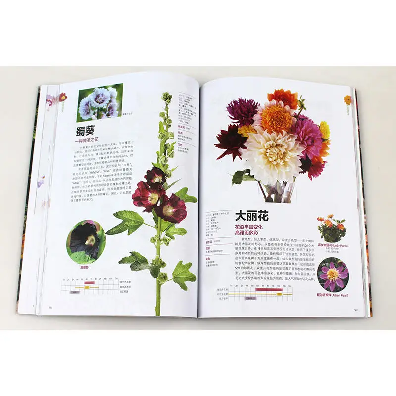 

New Flower and flower language chinese book 184 common seasonal flower brochures art book for adult